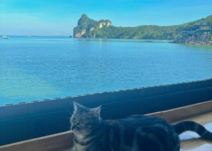 The One Hostel Phi Phi Island